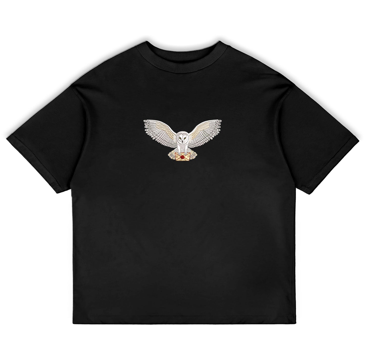 Magical Owl Oversized T-Shirt