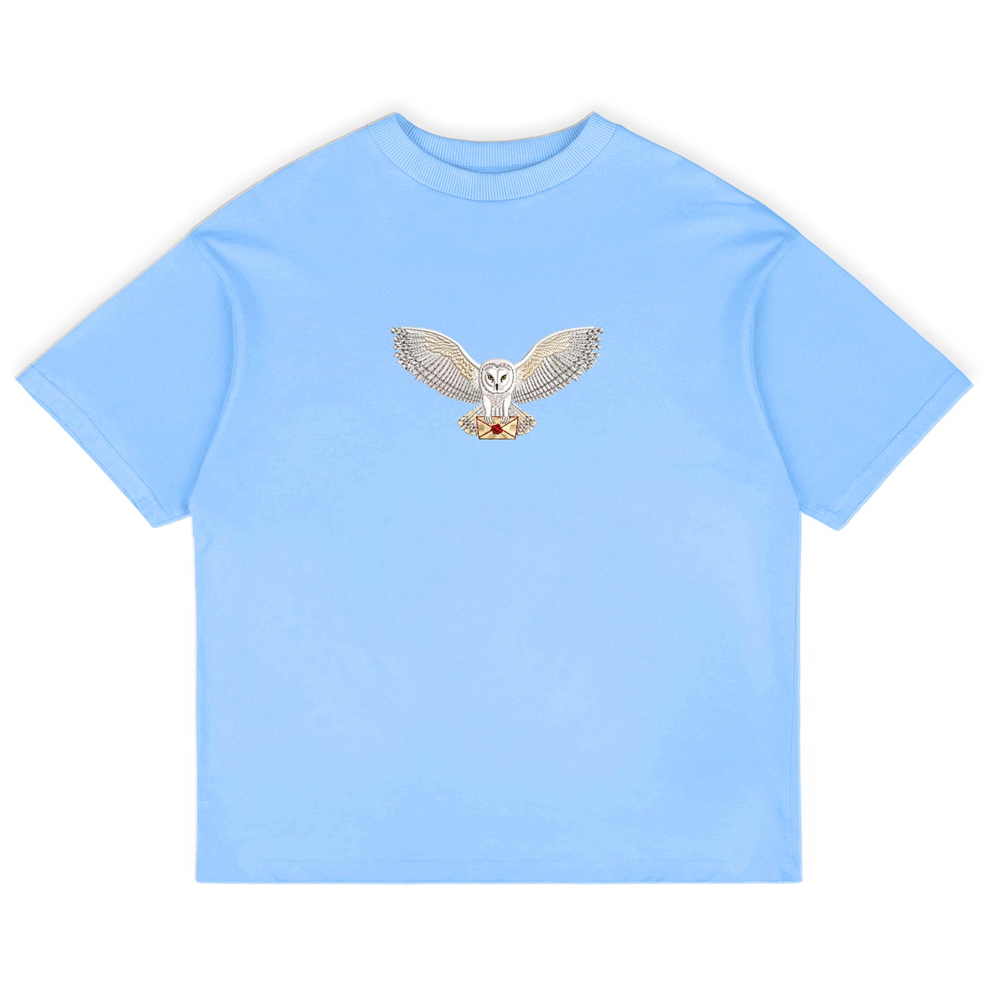 Magical Owl Oversized T-Shirt