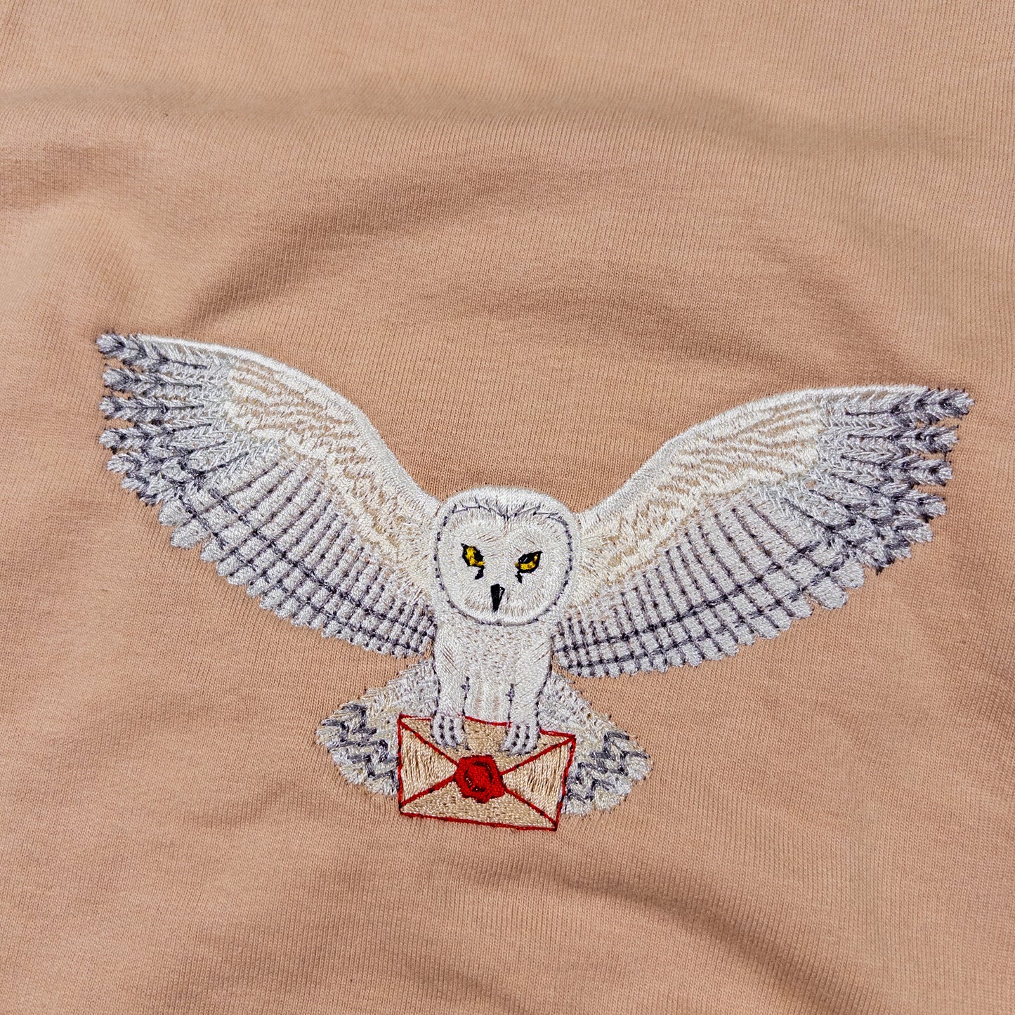 Magical Owl Oversized T-Shirt