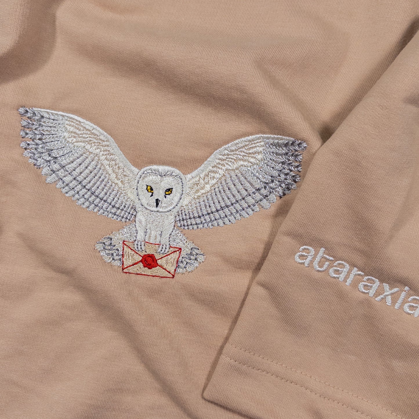 Magical Owl Oversized T-Shirt